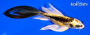 5.5" KIN KIKOKURYU BUTTERFLY