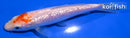 4.75" GINRIN KOHAKU