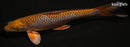 12.25" METALLIC OCHIBA SHIGURE