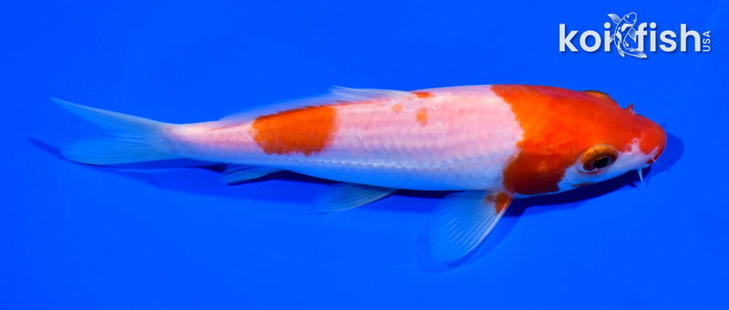 5.75