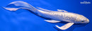 8.75" GINRIN LEMON HARIWAKE BUTTERFLY