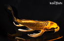 8.5" ORENJI MATSUBA BUTTERFLY