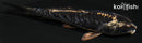 4.5" KIKOKURYU