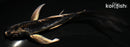 5.75" KIKOKURYU BUTTERFLY