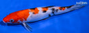 8" SANKE