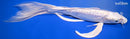 10.75" DOITSU PLATINUM OGON BUTTERFLY