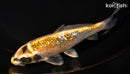 6.25" GINRIN KUJAKU