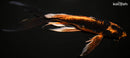 9.5" DOITSU ORENJI MATSUBA BUTTERFLY