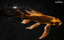 8.25" KIN ORENJI MATSUBA BUTTERFLY