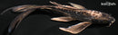 9.5" KIKOKURYU BUTTERFLY