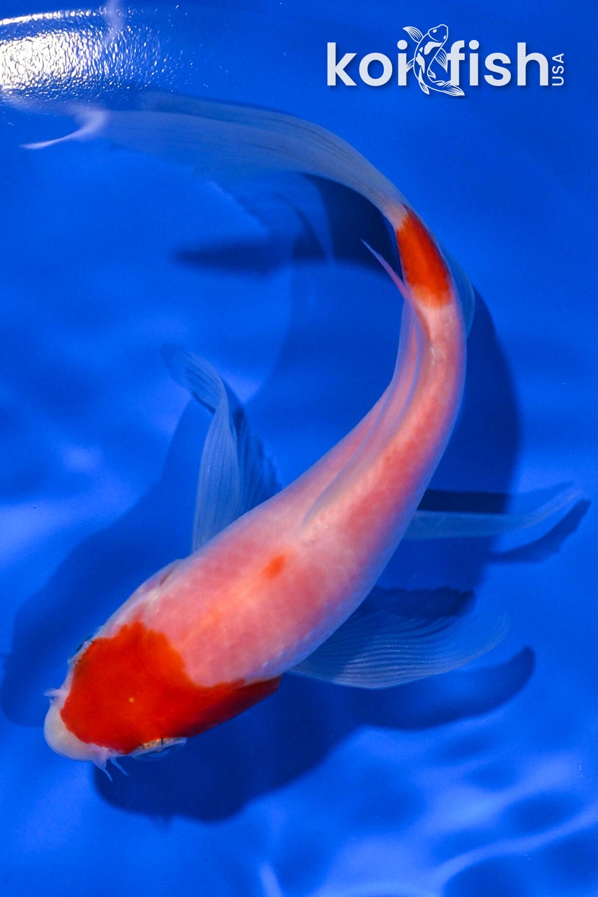 5.25