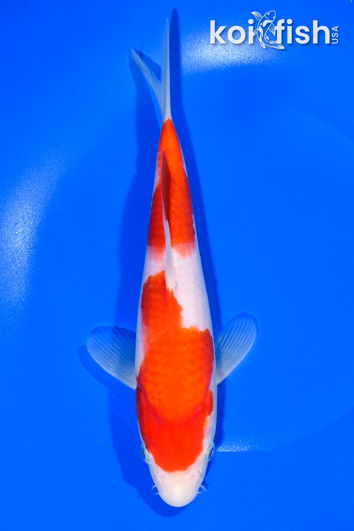 8.75