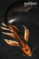 9" BENI KIKOKURYU BUTTTERFLY