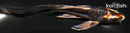 4.5" BENI KIKOKURYU BUTTERFLY