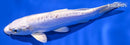 6.25" DOITSU PLATINUM OGON