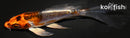 4.25" BENI KIKOKURYU BUTTERFLY