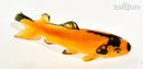 5.25" WAKIN GOLDFISH
