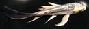 5" KIN KIKOKURYU BUTTERFLY