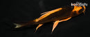5" ORENJI MATSUBA BUTTERFLY