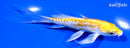 4.75" DOITSU LEMON HARIWAKE BUTTERFLY