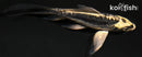 4.5" KIN KIKOKURYU BUTTERFLY