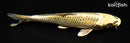 7.25" KUJAKU