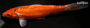 9.25" HI SHUSUI