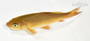 6.75" CHAGOI