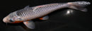 8.75" ASAGI