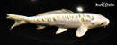 6.75" ARAGOKE KUJAKU
