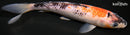8" BENI MATSUKAWABAKE