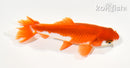4.25" WAKIN GOLDFISH
