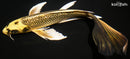 10.75" GINRIN KIN KI MATSUBA BUTTERFLY