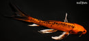 8.75" KIN ORENJI MATSUBA BUTTERFLY