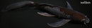10.5" OCHIBA SHIGURE BUTTERFLY