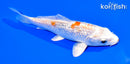 5.75" GINRIN HARIWAKE