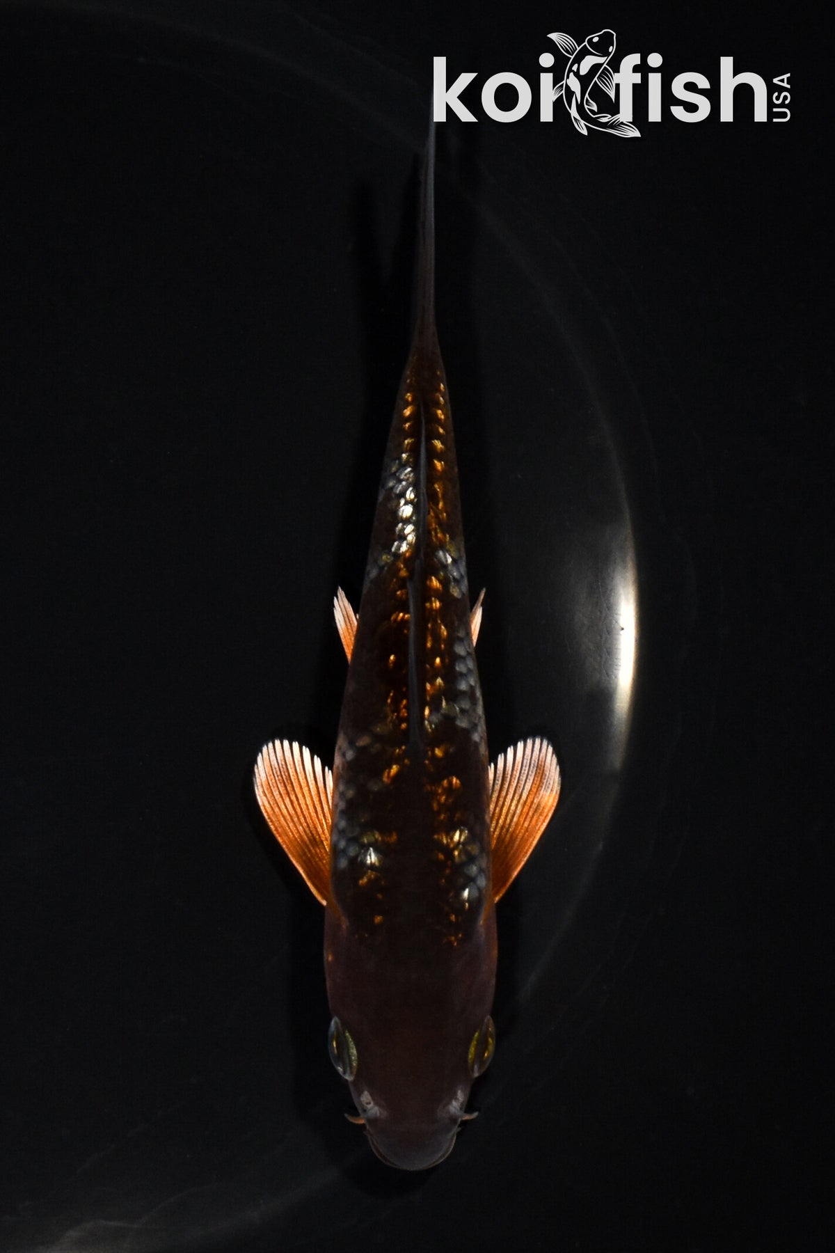 4.75