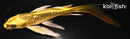 5.25" GINRIN KIN KI MATSUBA BUTTERFLY