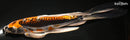 10.75" BENI KIKOKURYU BUTTERFLY