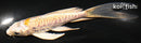 4.75" DOITSU LEMON HARIWAKE BUTTERFLY