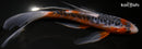 7.75" HI SHUSUI BUTTERFLY