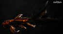10.25" BENI KIKOKURYU BUTTERFLY