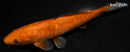 7.25" DOITSU CHAGOI