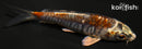 3.75" DOITSU METALLIC OCHIBA SHIGURE