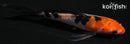 4.25" SANKE BUTTERFLY