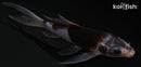 5.25" GOROMO BUTTERFLY
