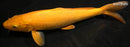 11.75" KIGOI