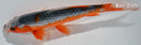 8.5" HI ASAGI