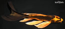 8.25" KIN ORENJI MATSUBA BUTTERFLY