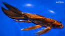 10.75" DOITSU ORENJI MATSUBA BUTTERFLY